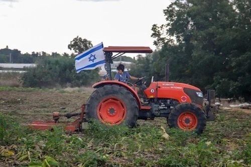Ngành nông nghiệp Israel 'khát' nhân lực do xung đột Trung Đông
