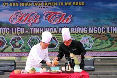 Quảng bá giá trị dược liệu - tinh hoa núi rừng Ngọc Linh