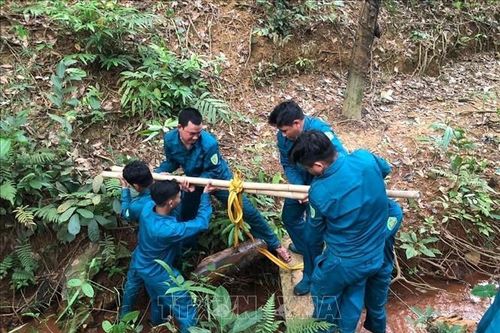 Xử lý kịp thời bom 120 kg trong vườn cao su Phú Riềng