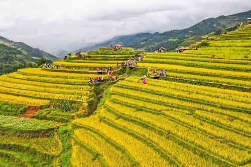 Chặn 'cái sảy' để đừng 'nảy cái ung'