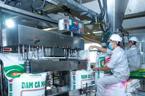Nhà máy đạm Cà Mau cán mốc sản xuất 10 triệu tấn ure