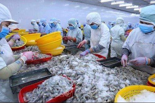 Còn nhiều dư địa cho ngành tôm tại thị trường Trung Đông