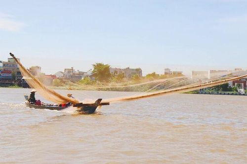 Rộn ràng mùa xúc cá trên sông