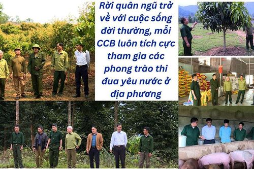 Lúc trẻ xông pha, về già gương mẫu