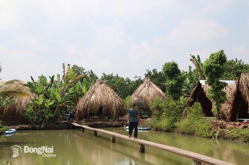 Doanh thu từ dịch vụ lưu trú, ăn uống duy trì mức tăng trưởng cao