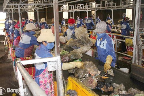 Đề xuất đầu tư 94 trạm trung chuyển rác