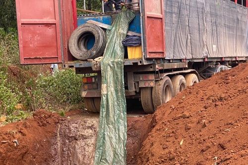 Gia Lai: Tiêu hủy 5,5 tấn cá tầm vận chuyển trái phép qua biên giới