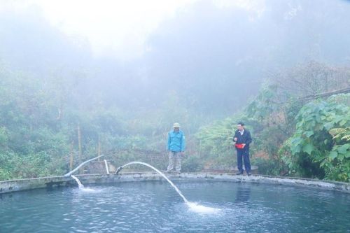 Người dân xã Dền Sáng thu hoạch 90 tấn cá hồi, cá tầm