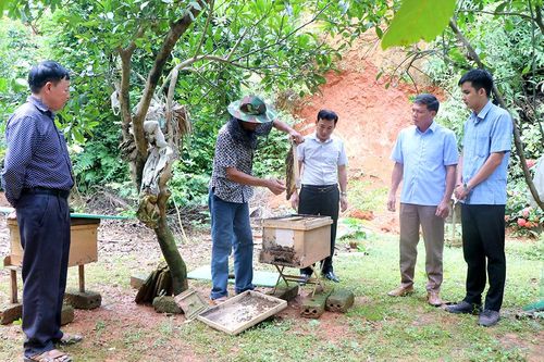Xung kích trong phát triển kinh tế