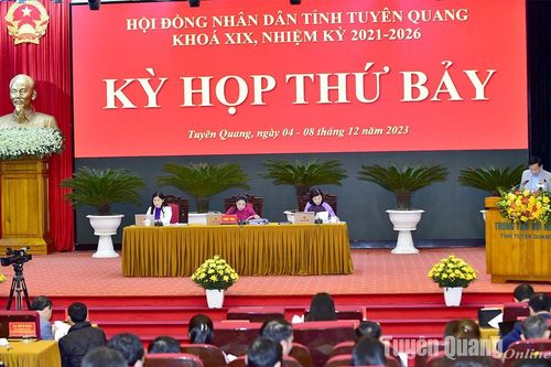 Đại biểu HĐND tỉnh xem xét thông qua các dự thảo nghị quyết trình kỳ họp