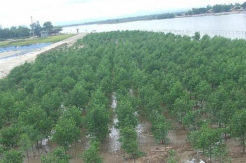 Quảng Trị: Sẽ là trung tâm kinh tế, văn hóa, xã hội và an ninh quốc phòng khu vực phía Đông Nam