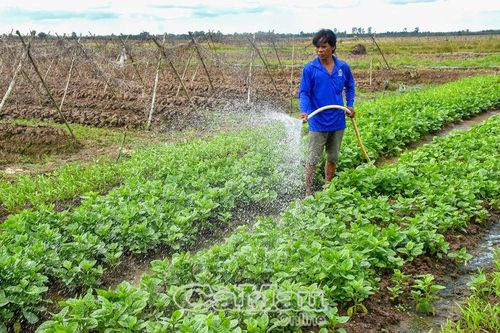 Thiết thực giảm nghèo trong đồng bào dân tộc
