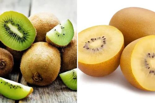 Kiwi vàng và kiwi xanh loại nào tốt hơn?