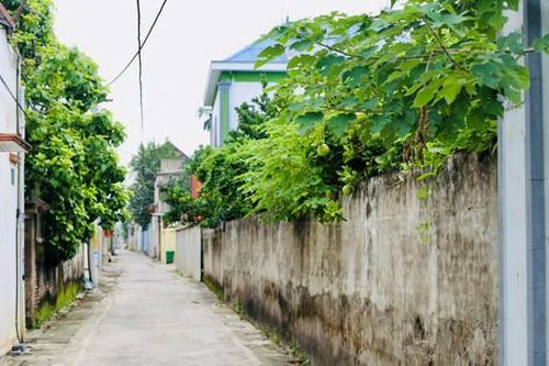 Cần nhân rộng 'thôn thông minh' ở Phú Xuyên