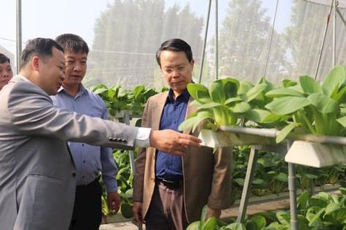 Huyện Sóc Sơn có 2 xã đầu tiên đạt chuẩn nông thôn mới kiểu mẫu