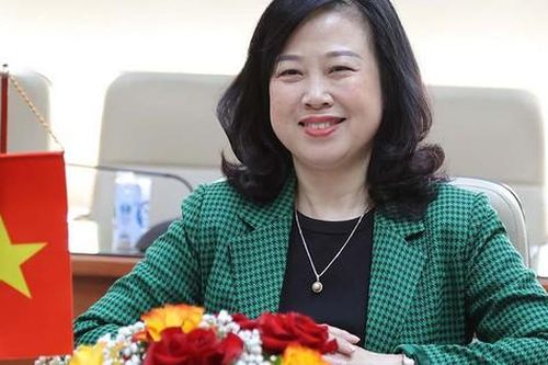 Bộ trưởng Bộ Y tế Đào Hồng Lan tiếp Đại sứ Thụy Sĩ tại Việt Nam