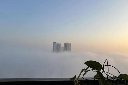 Chuyên gia chỉ rõ nguyên nhân gây hiện tượng sương mù dày đặc ở Hà Nội