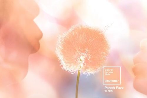 Màu của năm 2024 - Peach Fuzz: Khơi gợi sự đồng cảm, cổ vũ chăm sóc sức khỏe tinh thần