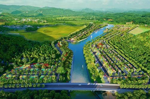 Flamingo - dấu chân thầm lặng làm đẹp những miền xanh Tổ quốc