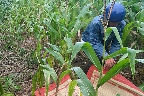 Vụ cán bộ Kiểm lâm tử vong với 14 vết đạn: Mong sớm tìm ra thủ phạm