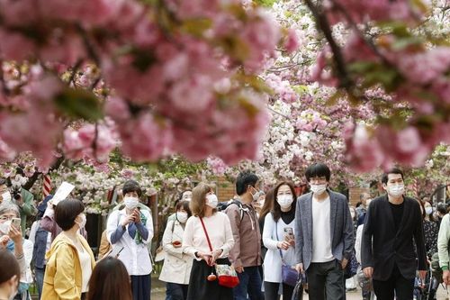 Osaka có thể là điểm đến du lịch y tế hút khách tiếp theo của châu Á