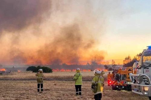 Nguy cơ cháy rừng thảm khốc ở bang South Australia trong thời tiết khắc nghiệt