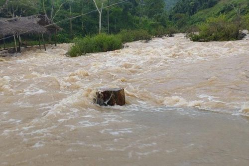 Cam kết tiếp tục hỗ trợ Việt Nam hành động sớm để giảm rủi ro thiên tai