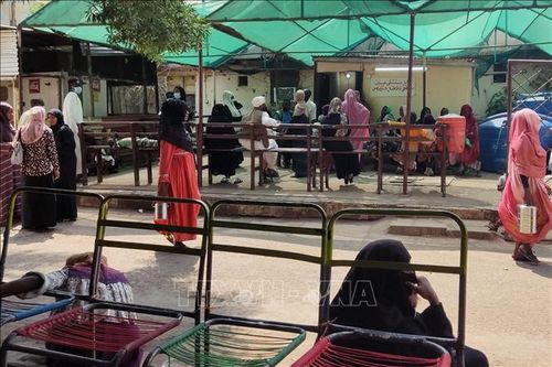 LHQ: Thêm hàng nghìn ca nghi mắc bệnh tả tại Sudan