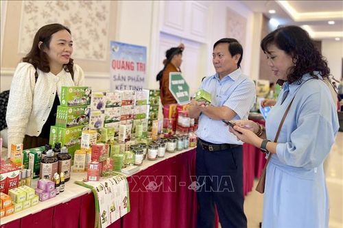 Kết nối cung cầu hàng Việt Nam tại Gia Lai