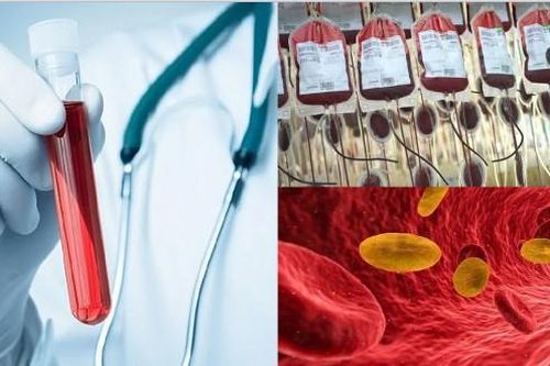 Nhóm 'máu vàng' quý hiếm nhất hành tinh: Cả thế giới chỉ 43 người sở hữu, bị săn lùng gắt gao