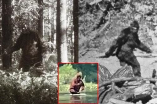 Tiết lộ hình ảnh chân thực nhất về quái vật Bigfoot từng khiến cả thế giới chao đảo