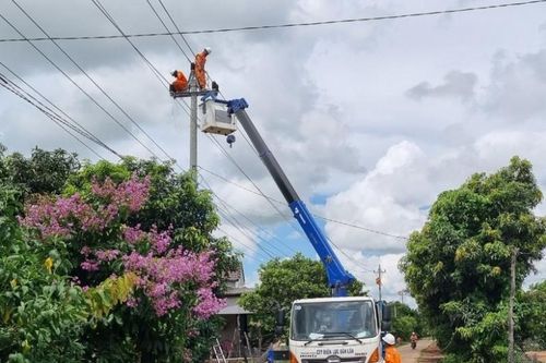 PC Đắk Lắk: Đảm bảo vận hành an toàn lưới điện khu vực huyện Ea Súp