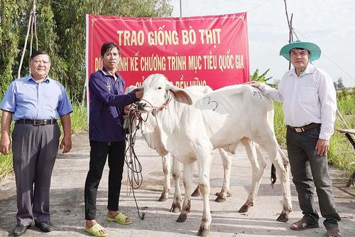 Xứ cù lao nỗ lực giảm nghèo