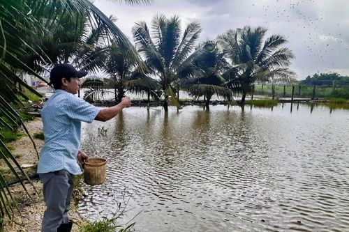 Chi hội trưởng nông dân làm kinh tế giỏi