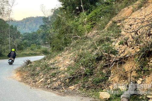 Cần sớm khắc phục điểm sạt lở trên tuyến đường DH59 đoạn qua thôn Bản Châu, xã Tri Lễ, huyện Văn Quan