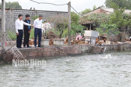 Về miền đất… thức