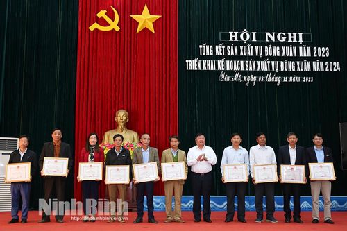 Yên Mô triển khai kế hoạch sản xuất vụ Đông xuân năm 2024