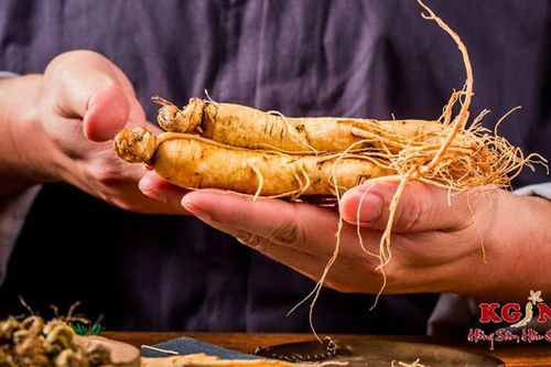 KGIN và những sản phẩm chất lượng đến từ nhân sâm Hàn Quốc