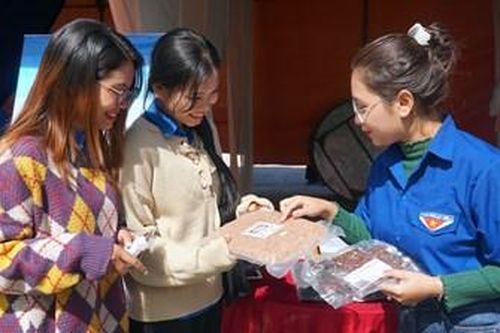 'Hành trang khởi nghiệp cho thanh niên vùng đồng bào dân tộc thiểu số và miền núi'