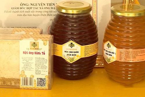 Điện Biên: Nâng cao giá trị mật ong Điện Biên