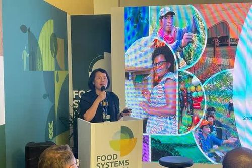 Tác động đến Dinh dưỡng, Sức khỏe và An ninh Thực phẩm CGIAR - COP28DUBAI: Ngày Dinh dưỡng và Sức khỏe