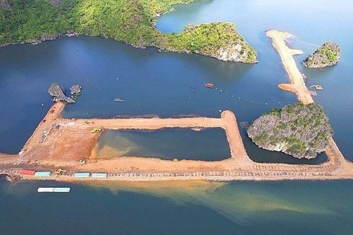 Động thái mới nhất của Bộ Xây dựng về vụ lấp vùng đệm vịnh Hạ Long