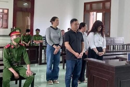 Lừa đảo, giả mạo giấy tờ, nữ bị cáo lãnh án 22 năm tù