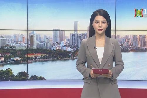 Chương trình Thời sự 15h00 | 08/12/2023