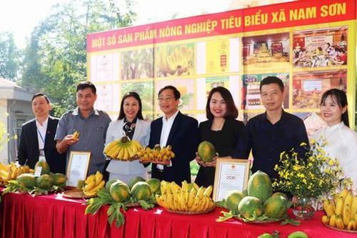 Sóc Sơn có 8 xã hoàn thành xây dựng nông thôn mới nâng cao và kiểu mẫu
