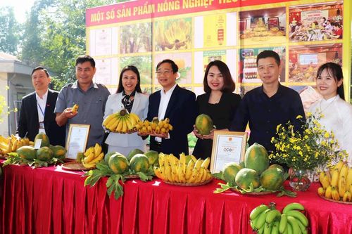 Huyện Sóc Sơn: 8 xã hoàn thành xây dựng nông thôn mới nâng cao, kiểu mẫu