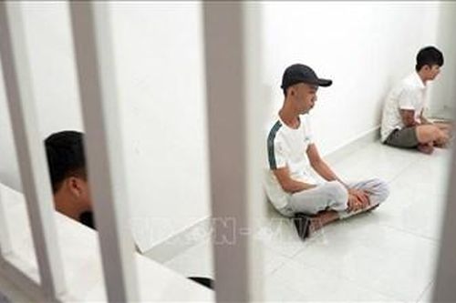 Tạm giữ hình sự các đối tượng dương tính với ma túy, mang nhiều vũ khí trên xe bán tải