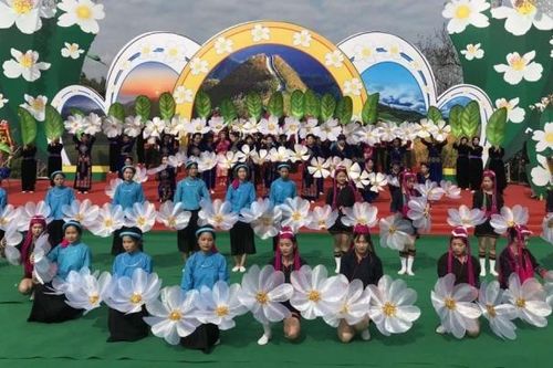 Sẵn sàng cho Hội hoa Sở Bình Liêu (Quảng Ninh) năm 2023