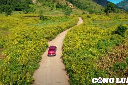 Ghé thăm núi lửa Chư Đăng Ya, thiên đường của hoa dã quỳ ở Gia Lai