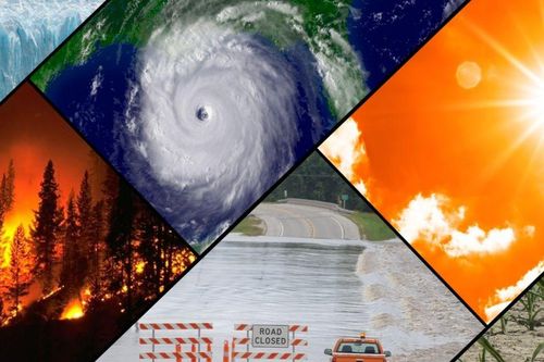 Giải quyết khủng hoảng khí hậu: Việt Nam quyết tâm chung tay cùng thế giới